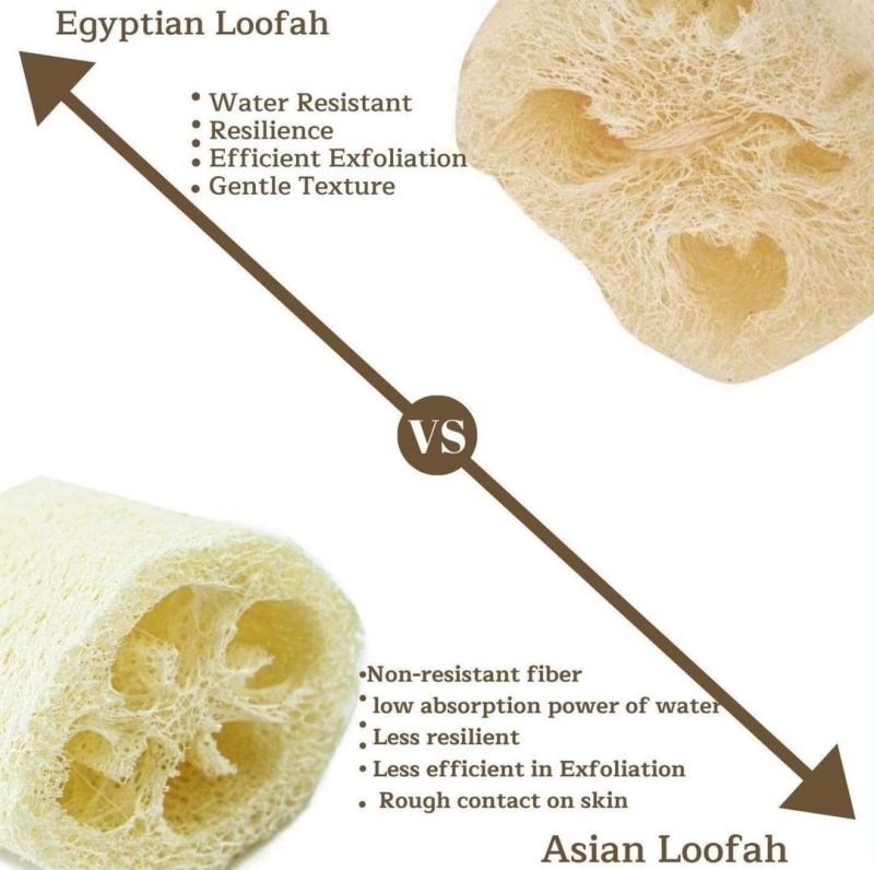 Egyptian natural raw loofah bath - Image 4